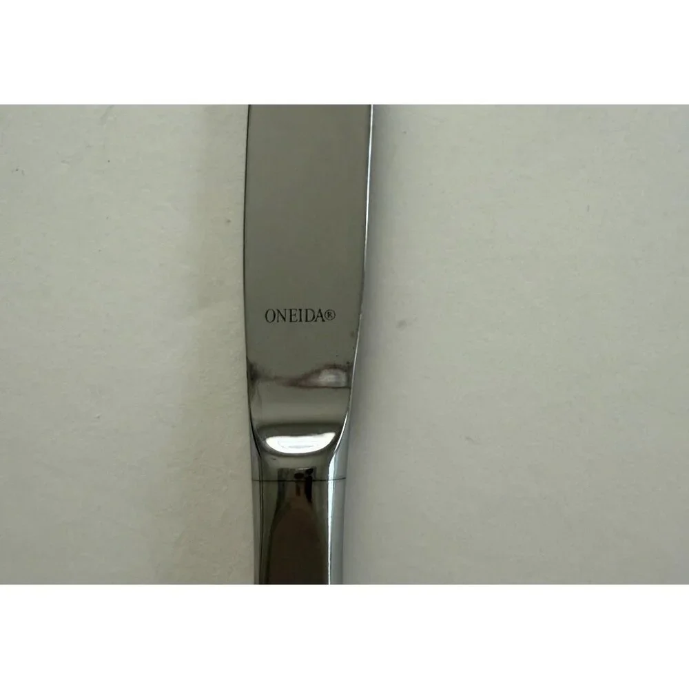 Oneida Aquarius Stainless Steel Butter 9.75